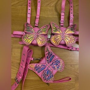 Club Exx Metamorphic Storage Harness Set & Choker